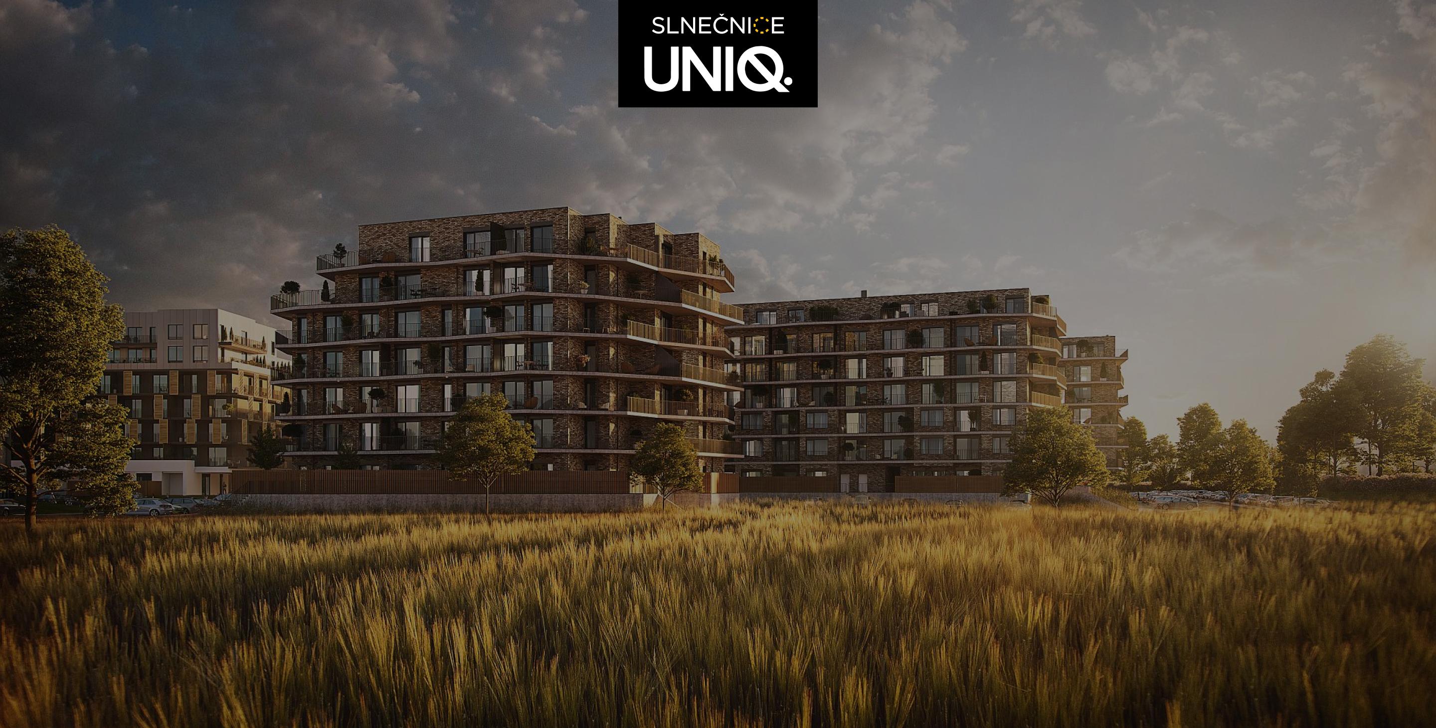 Slnečnice UNIQ